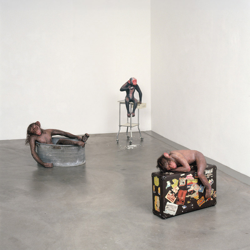 34.-Mary's-Cousin,-Specimen,-The-Trip,-Overview-2007.